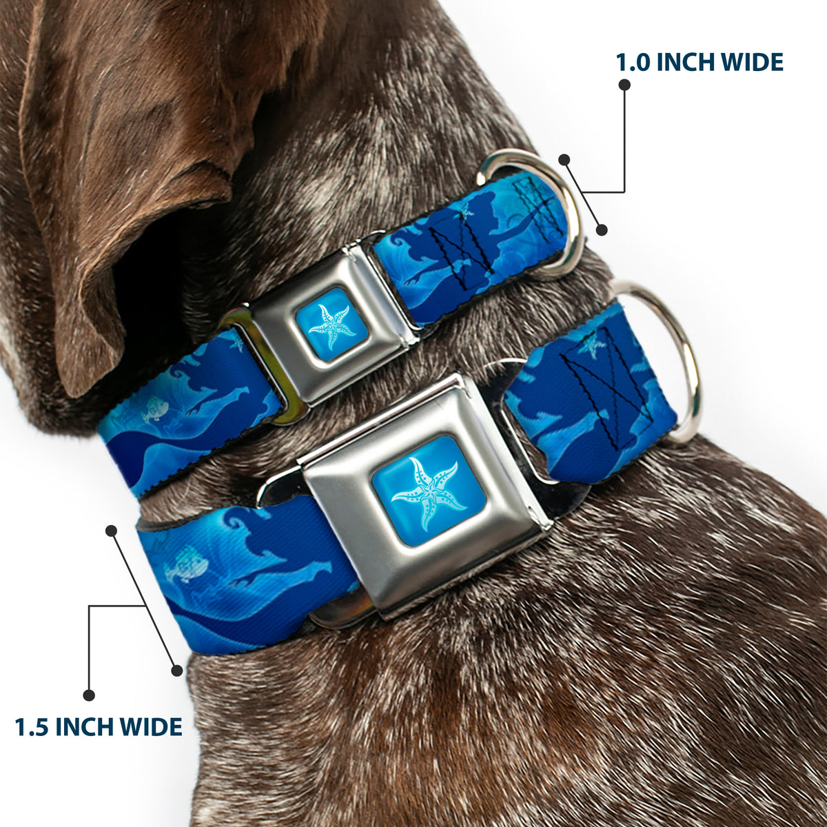 Ariel Daydreaming Full Color Blues Seatbelt Buckle Collar - Ariel Silhouette Poses/Castle Blues Dog Collars Seatbelt Buckle Disney