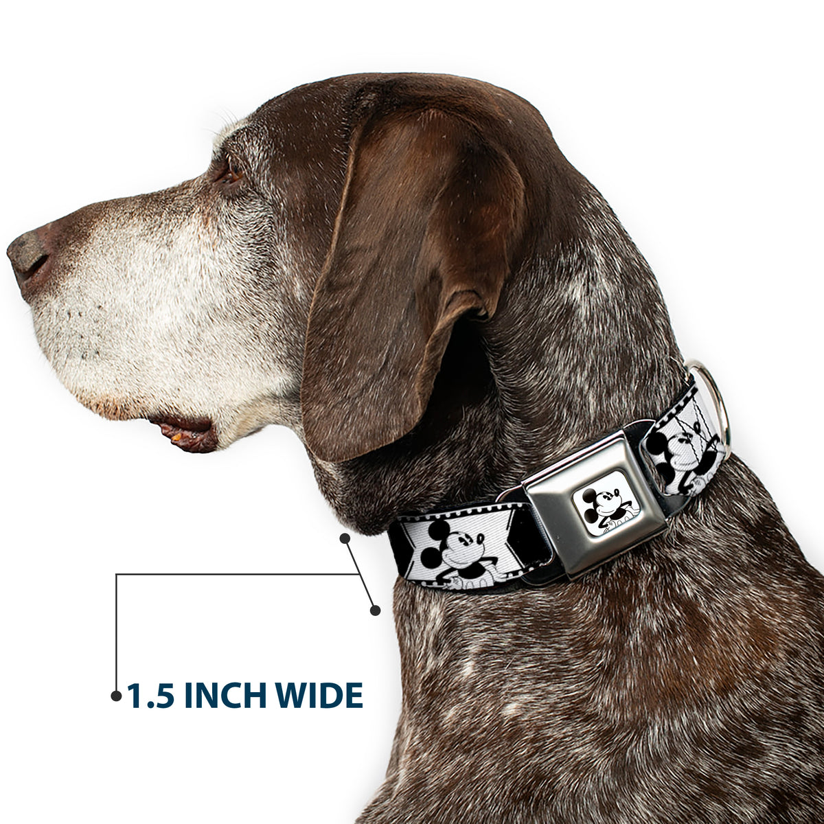 Mickey Standing Full Color White/Black Seatbelt Buckle Collar - Mickey Standing Pose Film Strip White/Black Dog Collars Seatbelt Buckle Disney