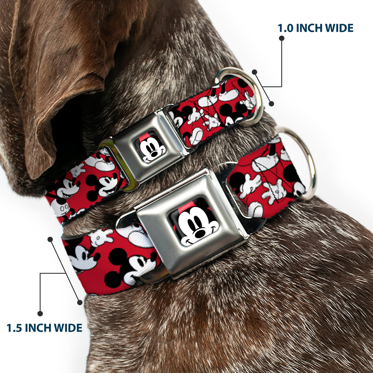 Mickey Mouse Face2 CLOSE-UP Full Color Red Black White Seatbelt Buckle Collar - Mickey Mouse Poses Scattered Red/Black/White Dog Collars Seatbelt Buckle Disney