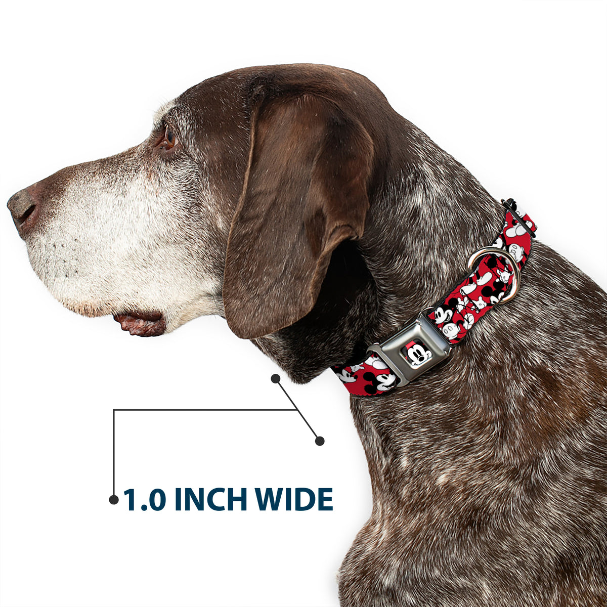 Mickey Mouse Face2 CLOSE-UP Full Color Red Black White Seatbelt Buckle Collar - Mickey Mouse Poses Scattered Red/Black/White Dog Collars Seatbelt Buckle Disney