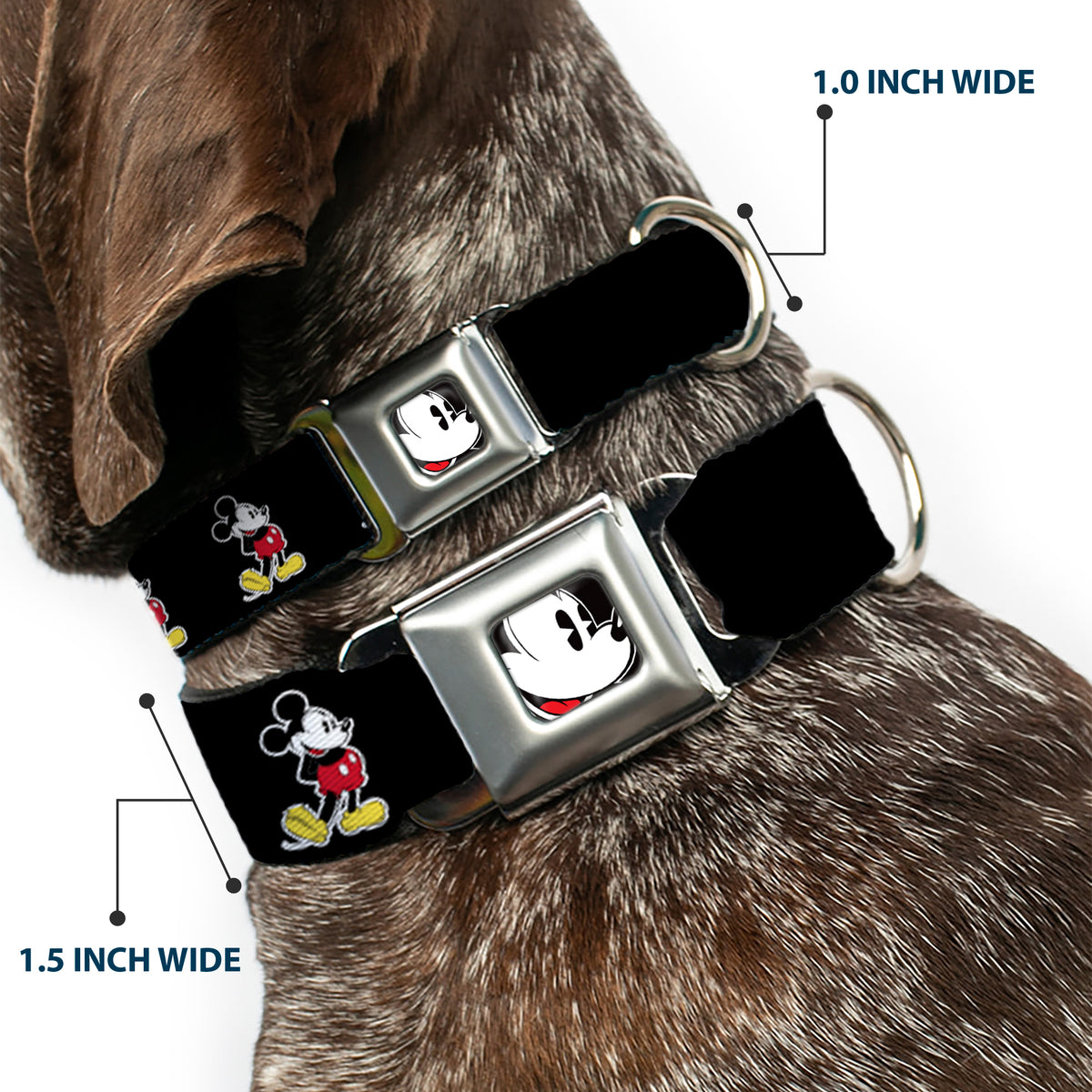 Classic Mickey Mouse Face CLOSE-UP Full Color Seatbelt Buckle Collar - Classic Mickey Mouse Pose Black Dog Collars Seatbelt Buckle Disney