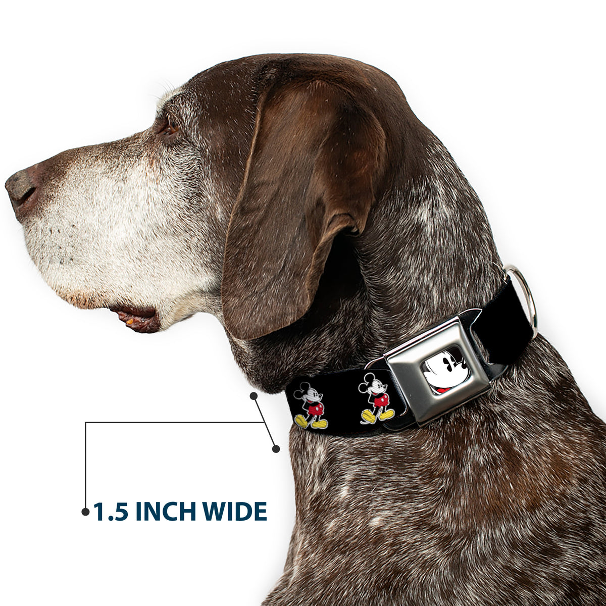 Classic Mickey Mouse Face CLOSE-UP Full Color Seatbelt Buckle Collar - Classic Mickey Mouse Pose Black Dog Collars Seatbelt Buckle Disney