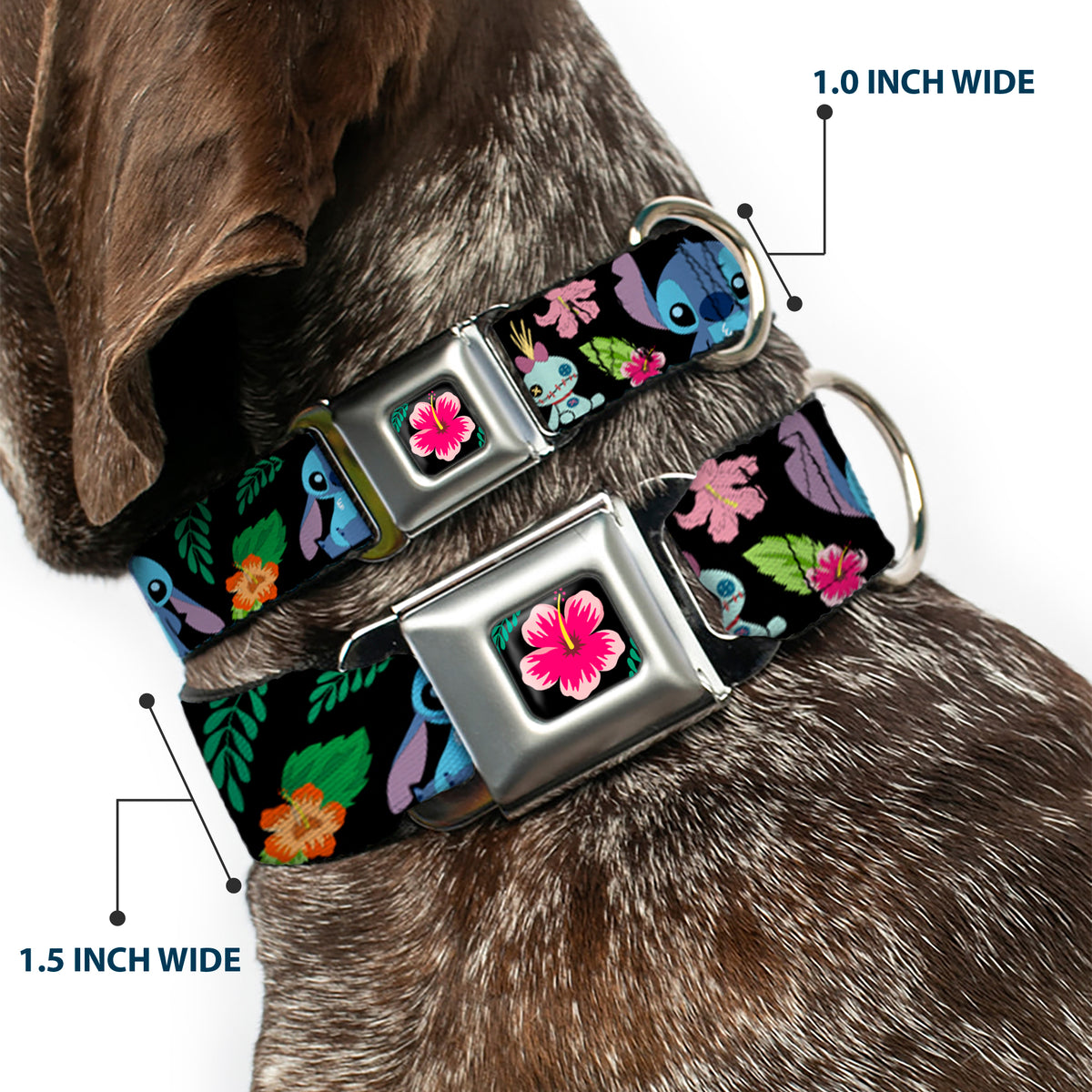 Lilo & Stitch Hibiscus Flower Full Color Black Pink Seatbelt Buckle Collar - OHANA MEANS FAMILY/Stitch & Scrump Poses/Tropical Flora Black/White/Multi Color Dog Collars Seatbelt Buckle Disney