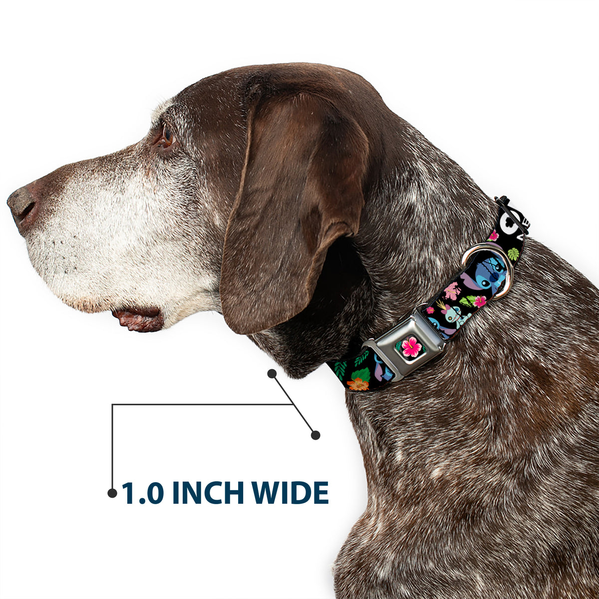 Lilo & Stitch Hibiscus Flower Full Color Black Pink Seatbelt Buckle Collar - OHANA MEANS FAMILY/Stitch & Scrump Poses/Tropical Flora Black/White/Multi Color Dog Collars Seatbelt Buckle Disney