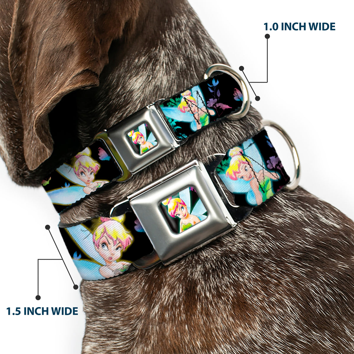 Glowing Tinker Bell Pose Full Color Seatbelt Buckle Collar - Glowing Tinker Bell Poses/Butterflies & Flowers Black/Multi Neon Dog Collars Seatbelt Buckle Disney