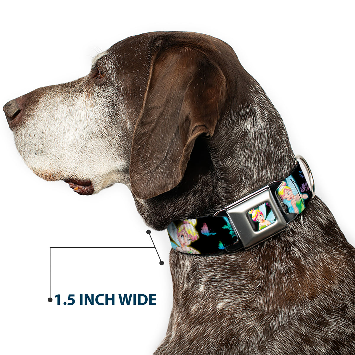 Glowing Tinker Bell Pose Full Color Seatbelt Buckle Collar - Glowing Tinker Bell Poses/Butterflies & Flowers Black/Multi Neon Dog Collars Seatbelt Buckle Disney