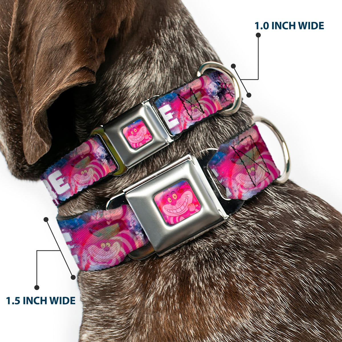 Transparent Cheshire Cat Face Full Color Seatbelt Buckle Collar - Transparent Cheshire Cat Poses WE'RE ALL MAD HERE Dog Collars Seatbelt Buckle Disney