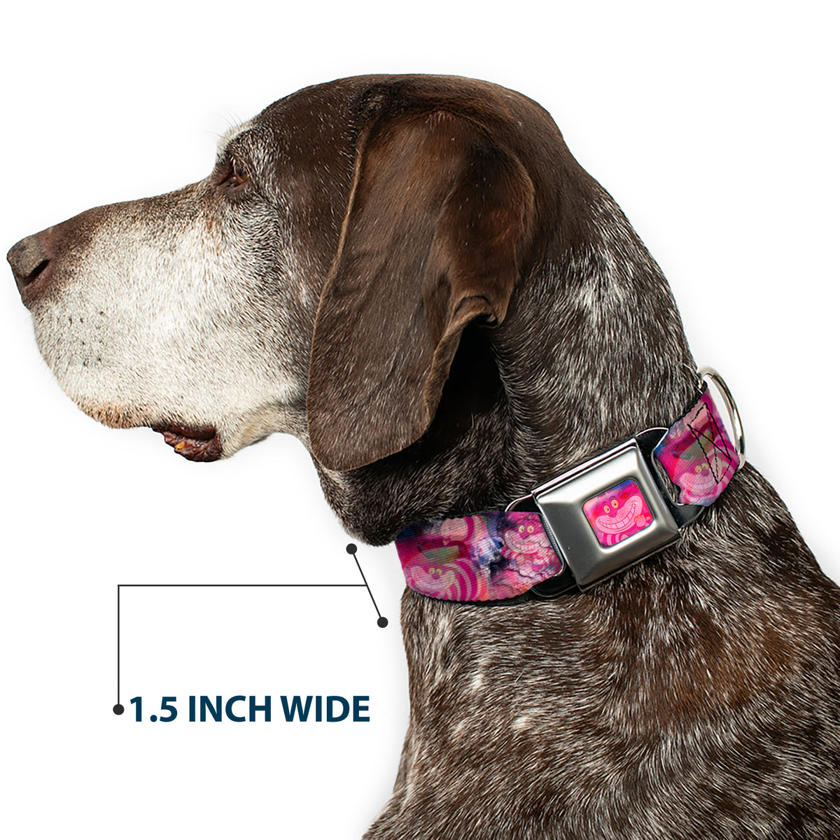 Transparent Cheshire Cat Face Full Color Seatbelt Buckle Collar - Transparent Cheshire Cat Poses WE'RE ALL MAD HERE Dog Collars Seatbelt Buckle Disney