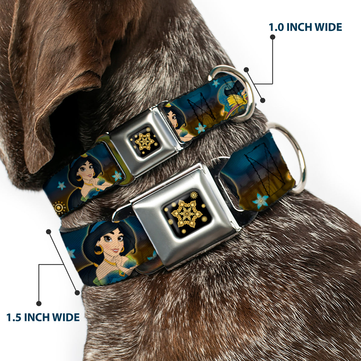 Aladdin Flower Motif Full Color Black/Gold Seatbelt Buckle Collar - Jasmine & Aladdin Carpet Ride/Jasmine Poses/Flowers Dog Collars Seatbelt Buckle Disney