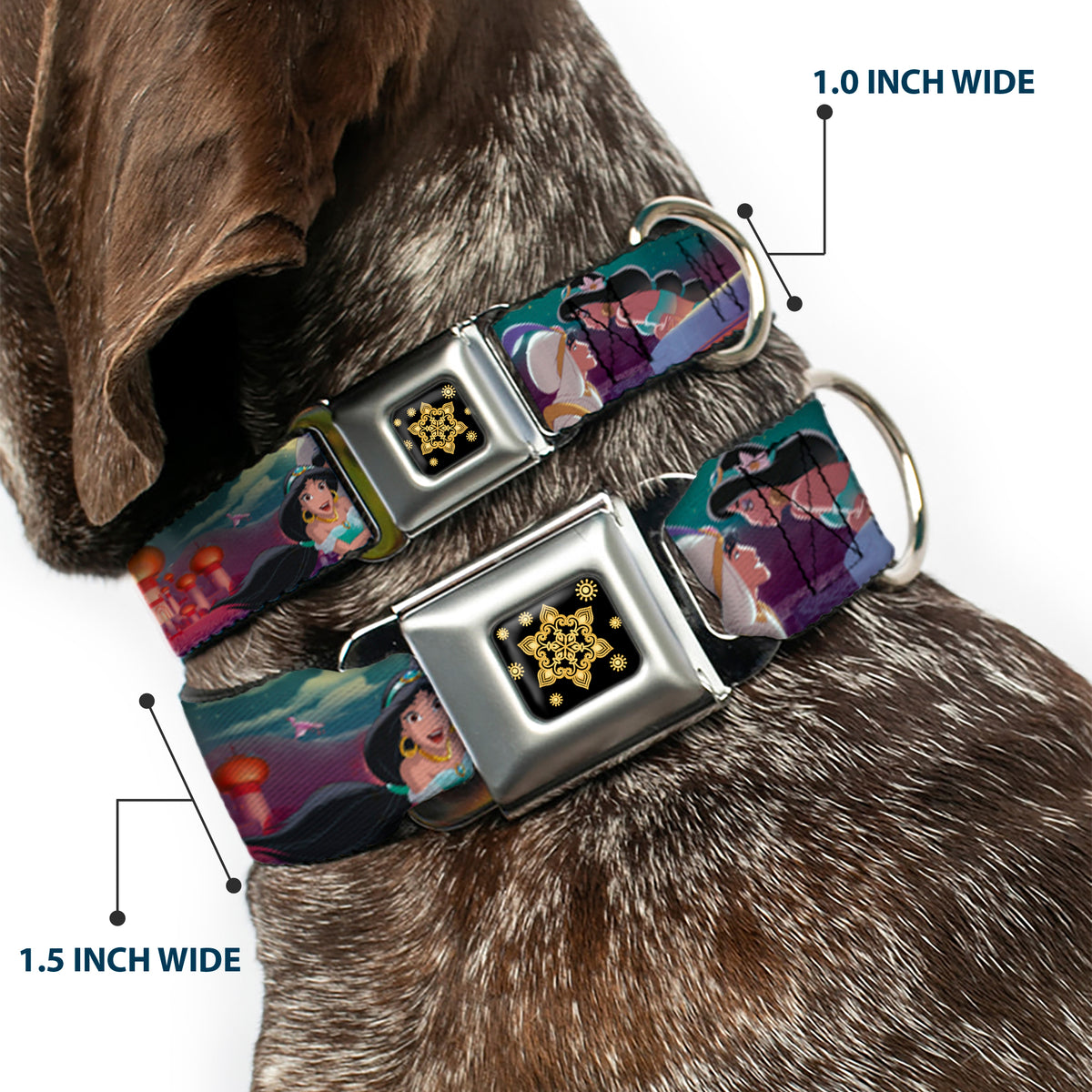Aladdin Flower Motif Full Color Black/Gold Seatbelt Buckle Collar - Aladdin & Jasmine Scenes/Castle/Birds Dog Collars Seatbelt Buckle Disney