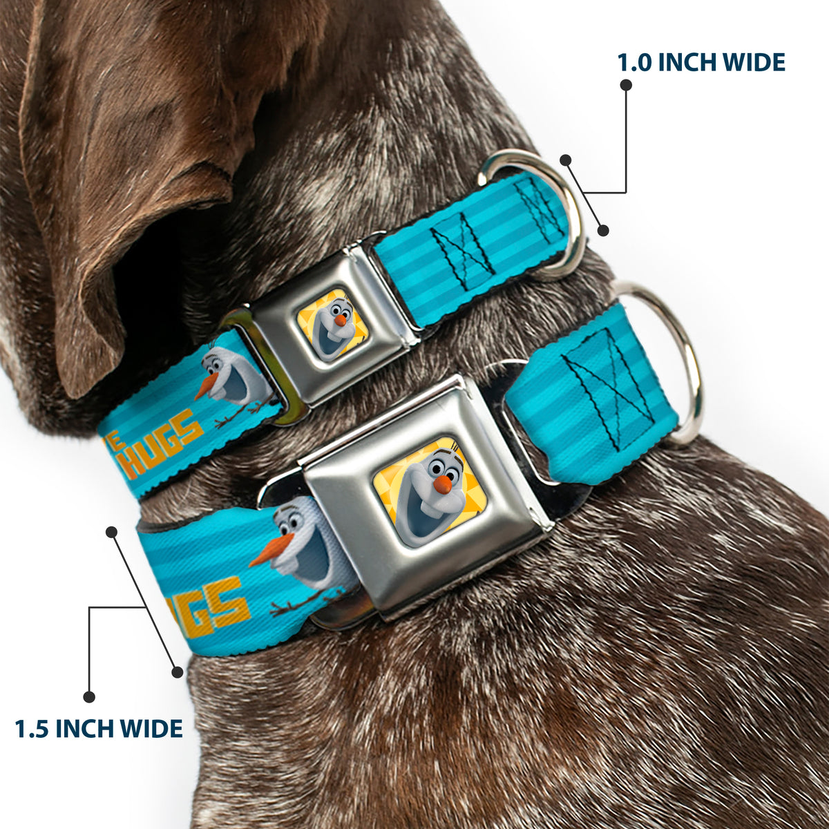Olaf Face Frozen Sun Full Color Seatbelt Buckle Collar - Olaf Pose I LOVE WARM HUGS Stripe Blues Dog Collars Seatbelt Buckle Disney