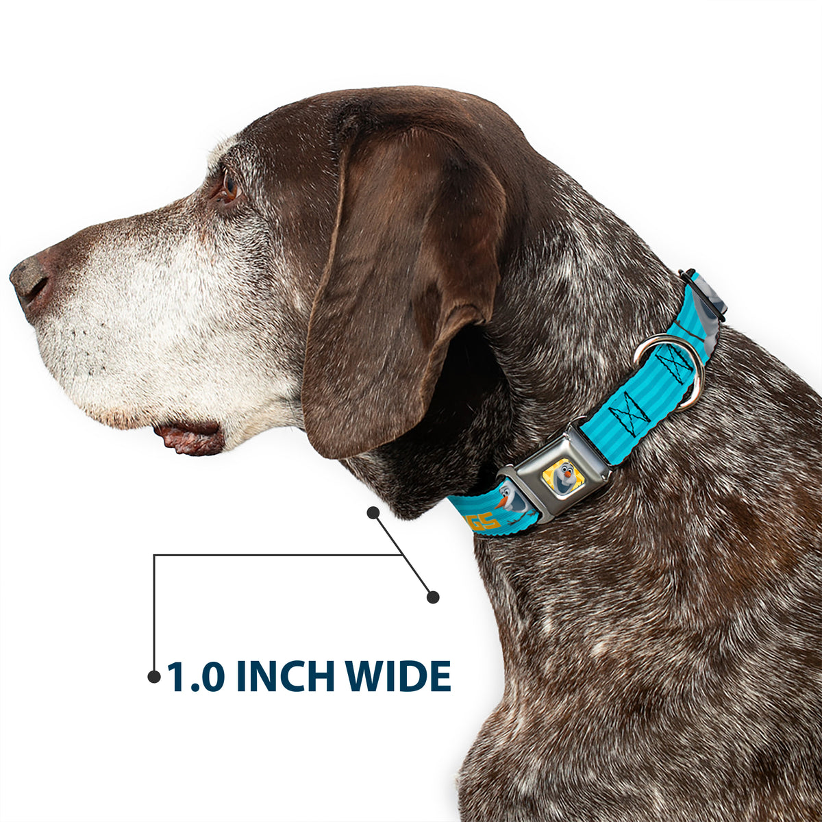 Olaf Face Frozen Sun Full Color Seatbelt Buckle Collar - Olaf Pose I LOVE WARM HUGS Stripe Blues Dog Collars Seatbelt Buckle Disney