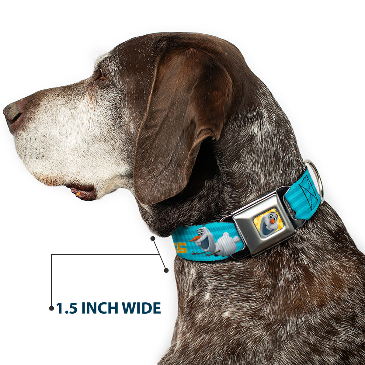 Olaf Face Frozen Sun Full Color Seatbelt Buckle Collar - Olaf Pose I LOVE WARM HUGS Stripe Blues Dog Collars Seatbelt Buckle Disney