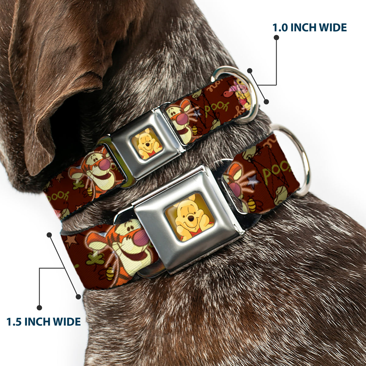 Winnie the Pooh Face Full Color Radial Brown Fade Seatbelt Buckle Collar - Winnie the Pooh Character Poses Dog Collars Seatbelt Buckle Disney