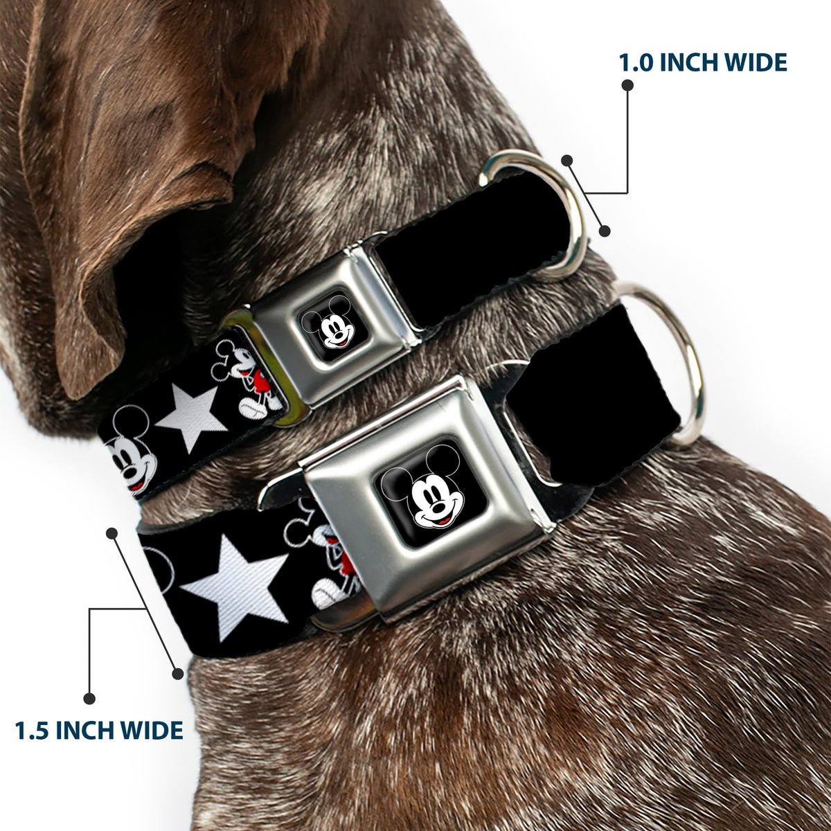 Mickey Mouse Face Full Color Black Seatbelt Buckle Collar - Classic Mickey Mouse 1928 Collage Black/White/Red Dog Collars Seatbelt Buckle Disney