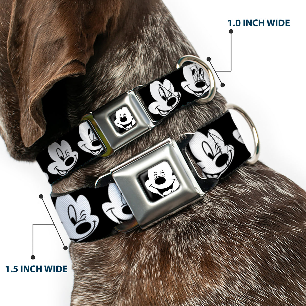 Mickey Mouse Face3 CLOSE-UP Full Color Black/White Seatbelt Buckle Collar - Mickey Mouse Expressions CLOSE-UP Black/White Dog Collars Seatbelt Buckle Disney