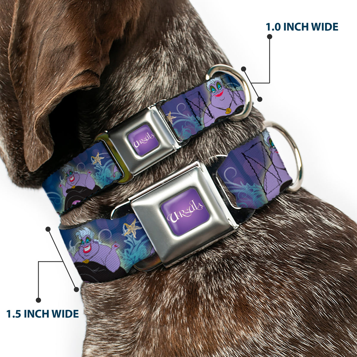 URSULA Full Color Purple-Fade/White Seatbelt Buckle Collar - Ursula 4-Poses/Shells/Ivy/Bubbles Purples/Blues Dog Collars Seatbelt Buckle Disney