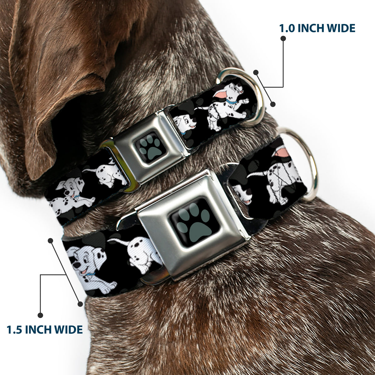 Dalmatian Paw Full Color Black Gray Seatbelt Buckle Collar - Dalmatians Running/Paws Black/Gray/White/Black Dog Collars Seatbelt Buckle Disney