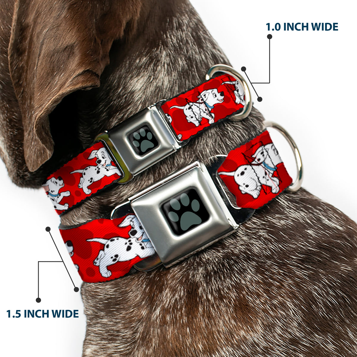 Dalmatian Paw Full Color Black Gray Seatbelt Buckle Collar - Dalmatians Running/Paws Reds/White/Black Dog Collars Seatbelt Buckle Disney