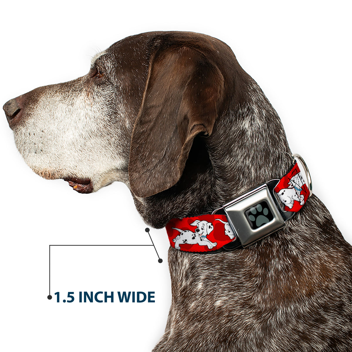 Dalmatian Paw Full Color Black Gray Seatbelt Buckle Collar - Dalmatians Running/Paws Reds/White/Black Dog Collars Seatbelt Buckle Disney
