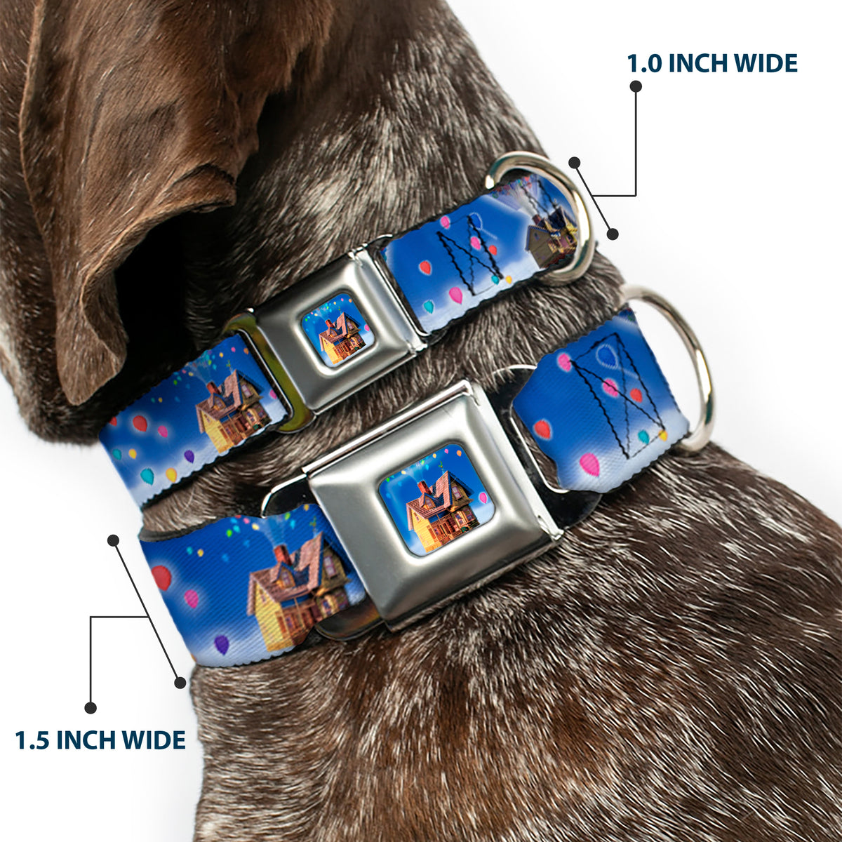 Flying House w/Balloons Full Color Seatbelt Buckle Collar - Up Carl on Porch/Flying House/Balloons Dog Collars Seatbelt Buckle Disney