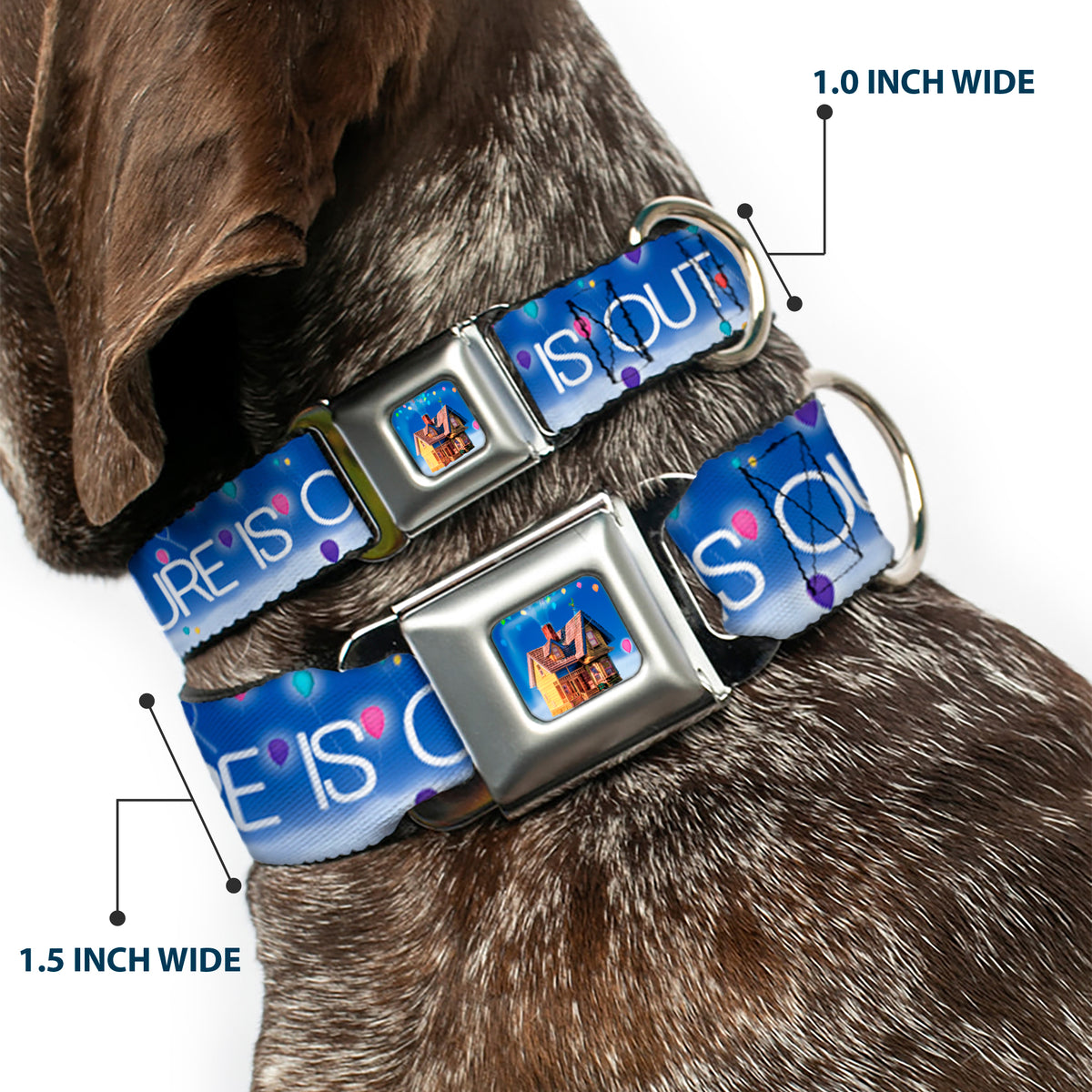 Flying House w/Balloons Full Color Seatbelt Buckle Collar - ADVENTURE IS OUT THERE/Carl on Porch/Flying House/Balloons Blues/White/Multi Color Dog Collars Seatbelt Buckle Disney
