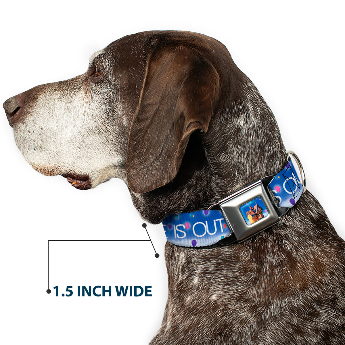 Flying House w/Balloons Full Color Seatbelt Buckle Collar - ADVENTURE IS OUT THERE/Carl on Porch/Flying House/Balloons Blues/White/Multi Color Dog Collars Seatbelt Buckle Disney
