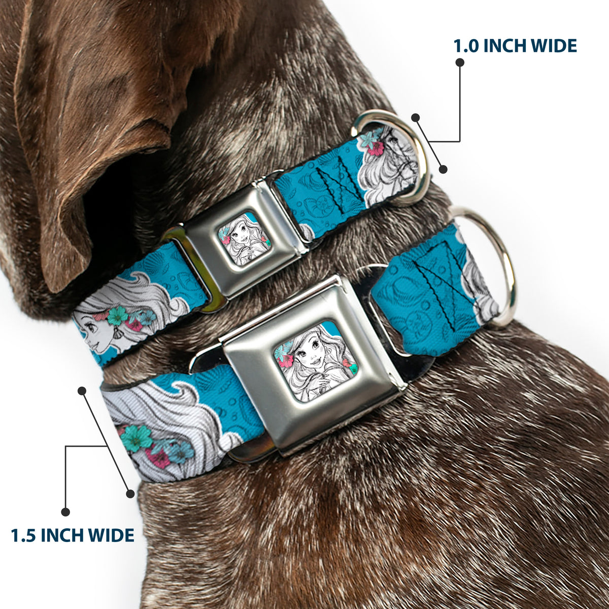 Ariel Sketch2 Pose Full Color Blue Seatbelt Buckle Collar - Ariel Poses/Shells Sketch Blue/White Dog Collars Seatbelt Buckle Disney