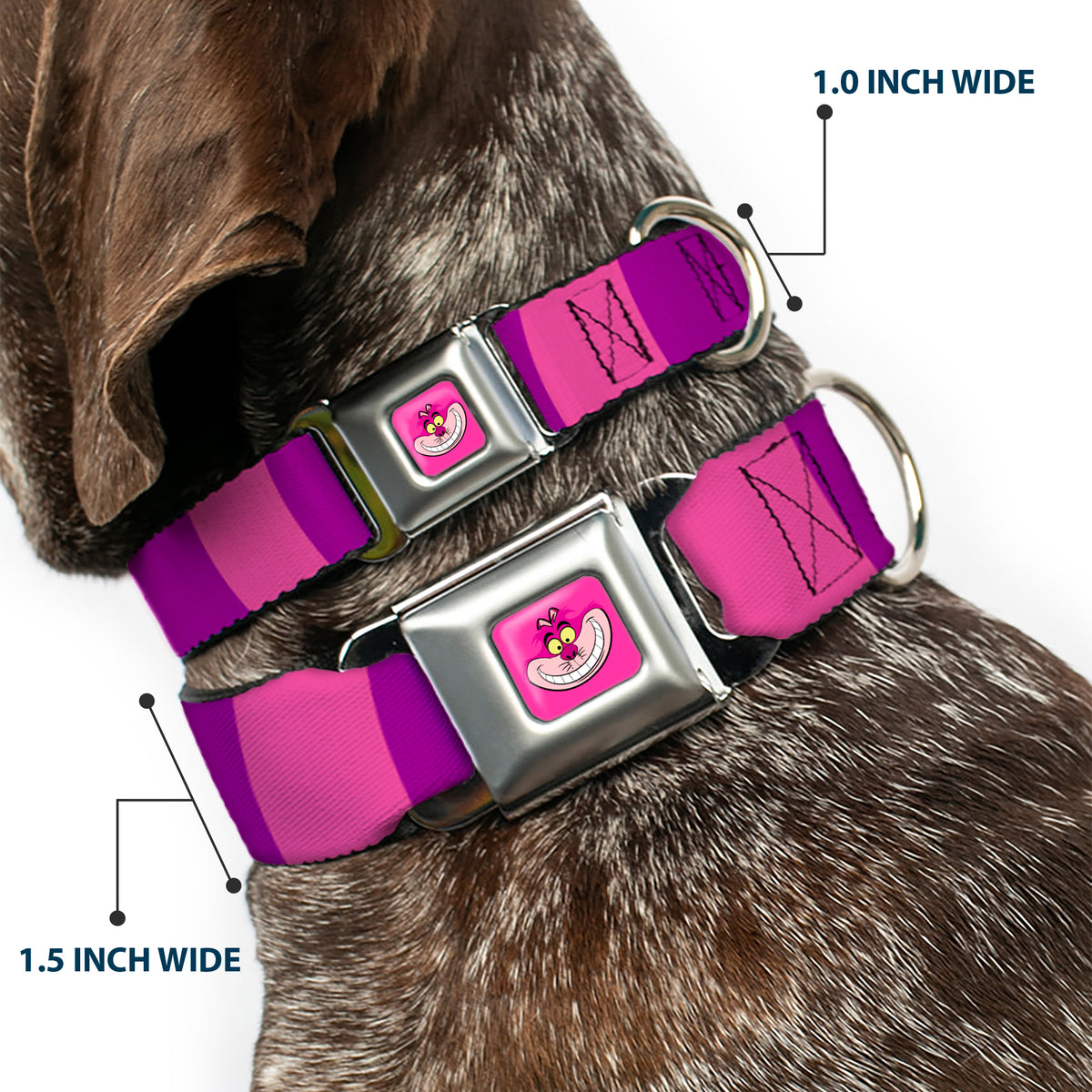 Cheshire Cat Face Full Color Pink Seatbelt Buckle Collar - Cheshire Cat Stripe Pink/Purple Dog Collars Seatbelt Buckle Disney