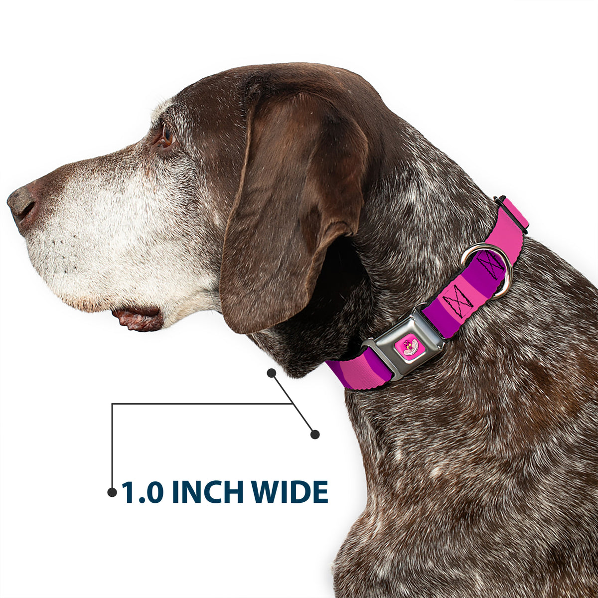 Cheshire Cat Face Full Color Pink Seatbelt Buckle Collar - Cheshire Cat Stripe Pink/Purple Dog Collars Seatbelt Buckle Disney