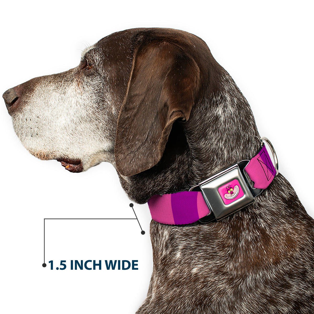 Cheshire Cat Face Full Color Pink Seatbelt Buckle Collar - Cheshire Cat Stripe Pink/Purple Dog Collars Seatbelt Buckle Disney