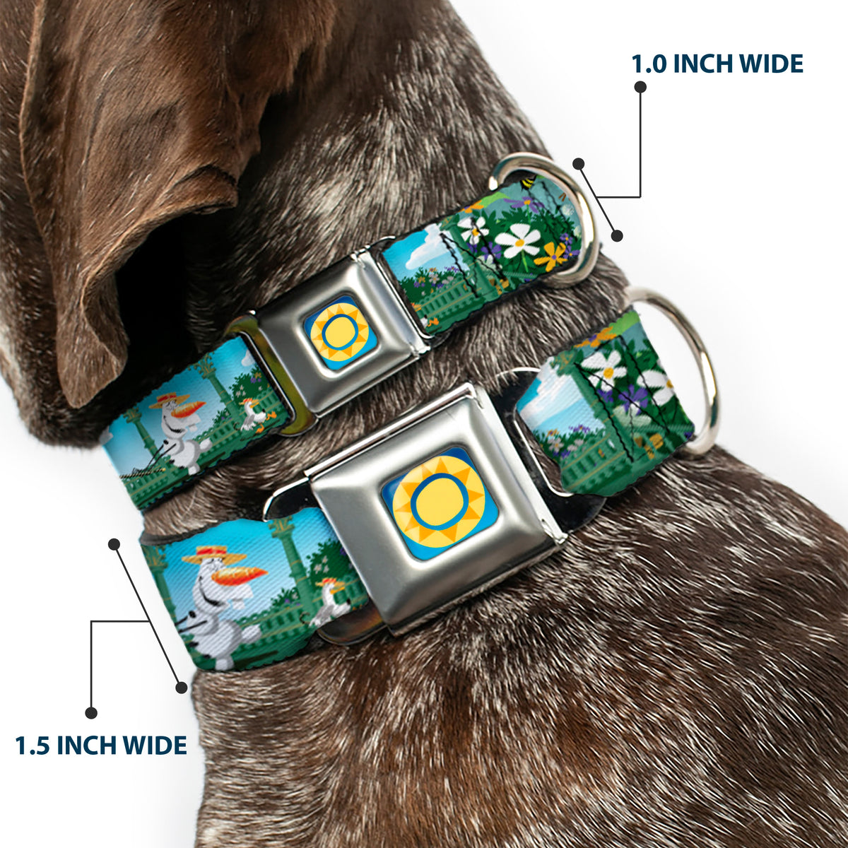Frozen Sun2 Royal Full Color Blue/Yellows Seatbelt Buckle Collar - Olaf Garden Scenes Dog Collars Seatbelt Buckle Disney
