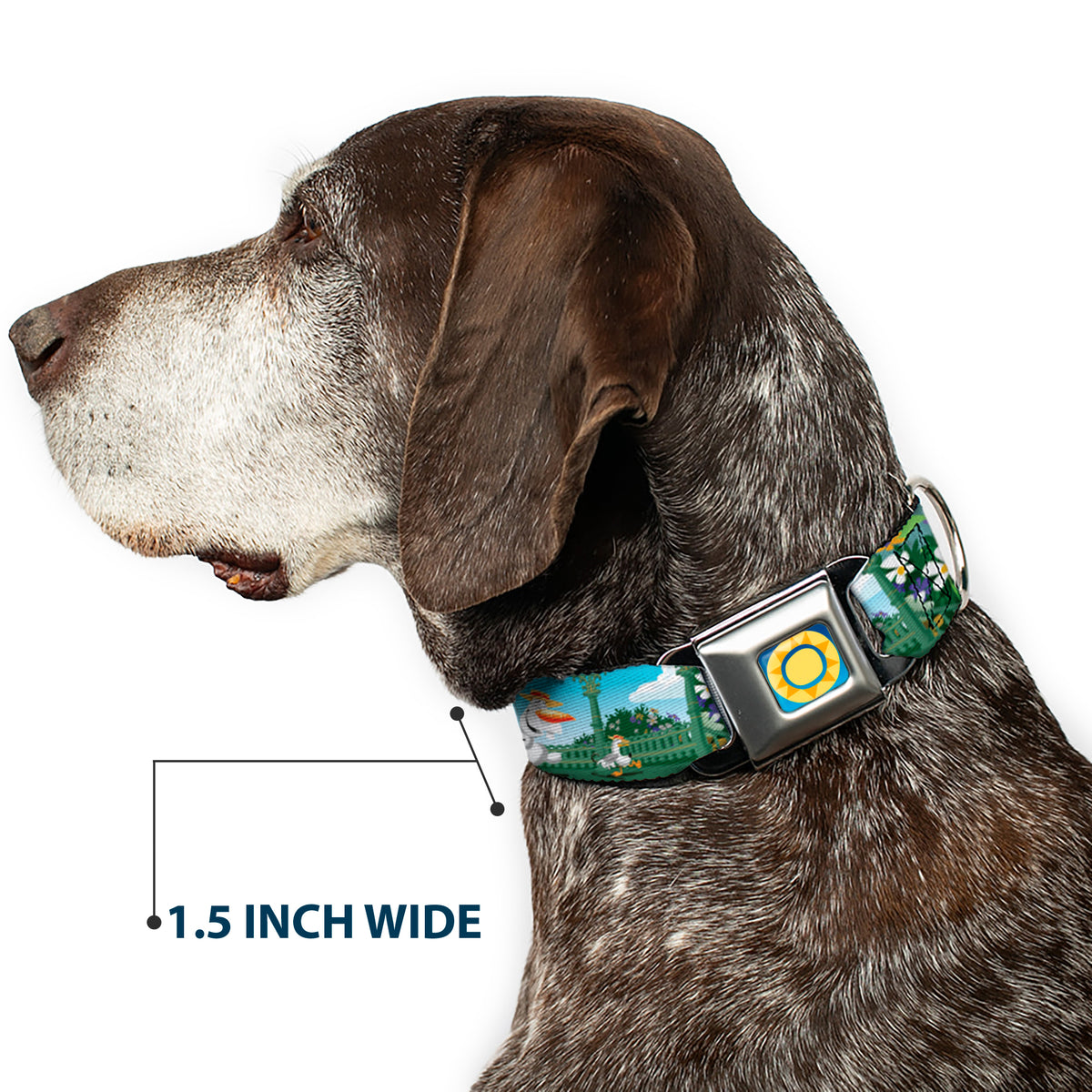 Frozen Sun2 Royal Full Color Blue/Yellows Seatbelt Buckle Collar - Olaf Garden Scenes Dog Collars Seatbelt Buckle Disney