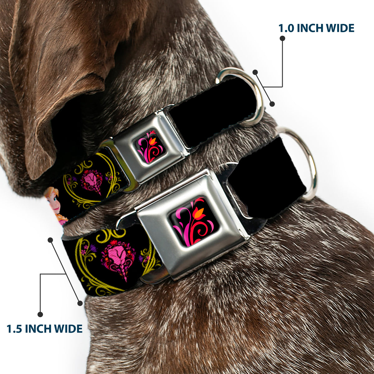 Dog Collar DYFV-Frozen Tulip Full Color Black/Pink/Red/Orange - ANNA Poses/Anna Monogram Heart Cameo Pinks/Yellow - WIDE-Medium Dog Collars Seatbelt Buckle Disney