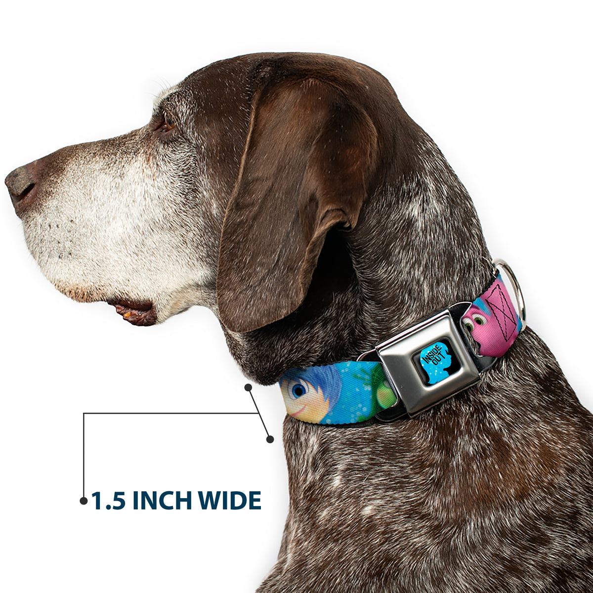 INSIDE OUT/Riley Silhouette Full Color Black/Sparkle Blue Seatbelt Buckle Collar - INSIDE OUT 6-Character Pose Sparkle Blue/White Dog Collars Seatbelt Buckle Disney