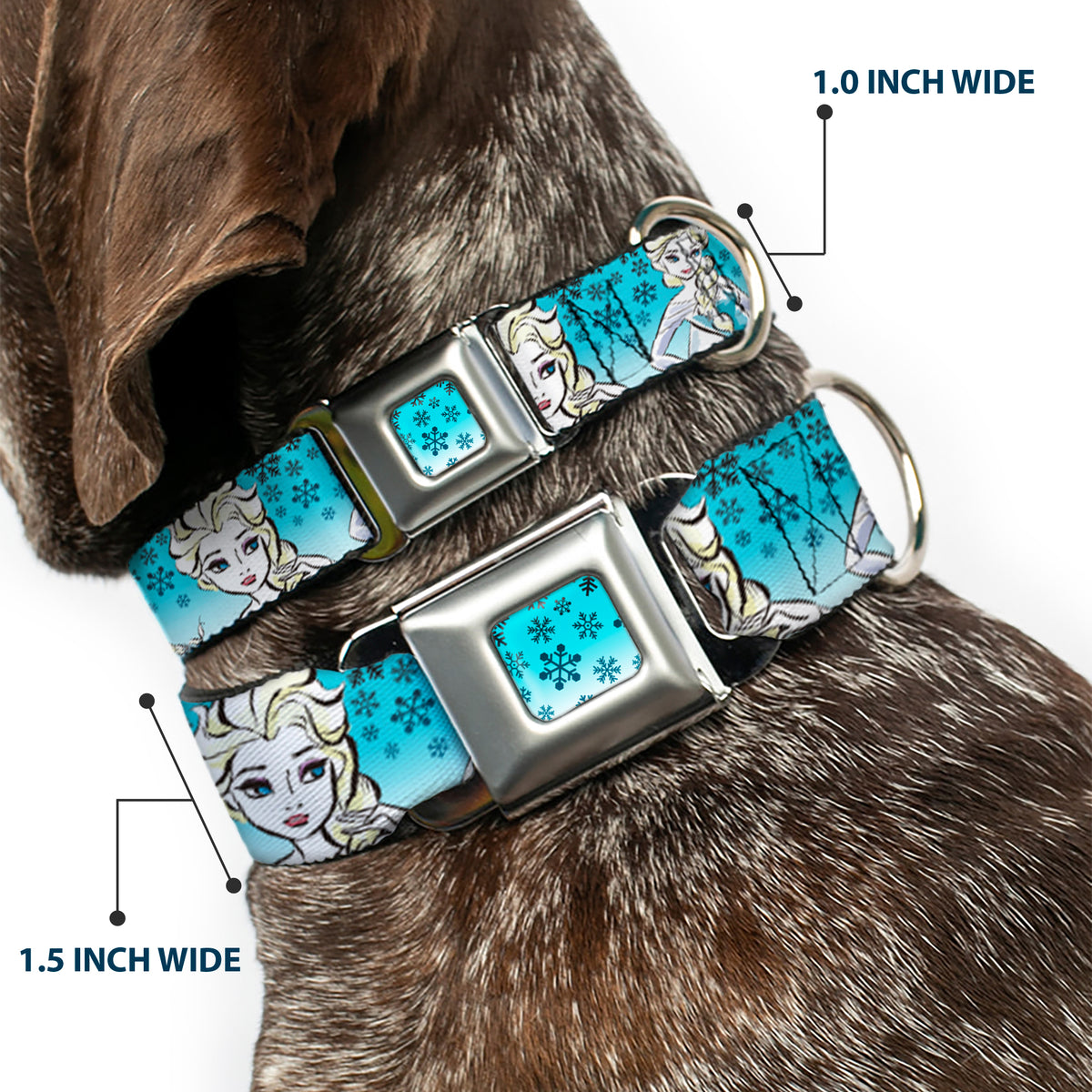 Snowflakes Frozen Art Collection Full Color Blues/White Seatbelt Buckle Collar - Anna/Snowflakes Frozen Art Collection Poses Dog Collars Seatbelt Buckle Disney