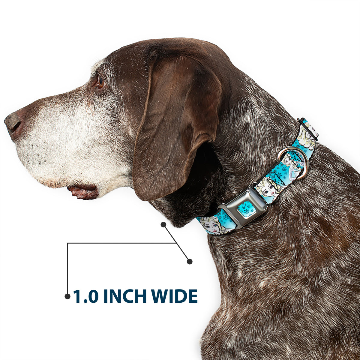 Snowflakes Frozen Art Collection Full Color Blues/White Seatbelt Buckle Collar - Anna/Snowflakes Frozen Art Collection Poses Dog Collars Seatbelt Buckle Disney