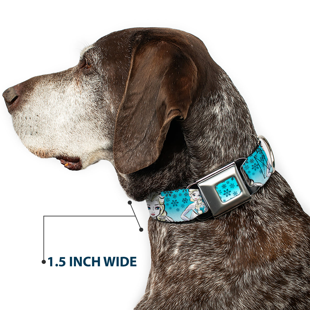 Snowflakes Frozen Art Collection Full Color Blues/White Seatbelt Buckle Collar - Anna/Snowflakes Frozen Art Collection Poses Dog Collars Seatbelt Buckle Disney