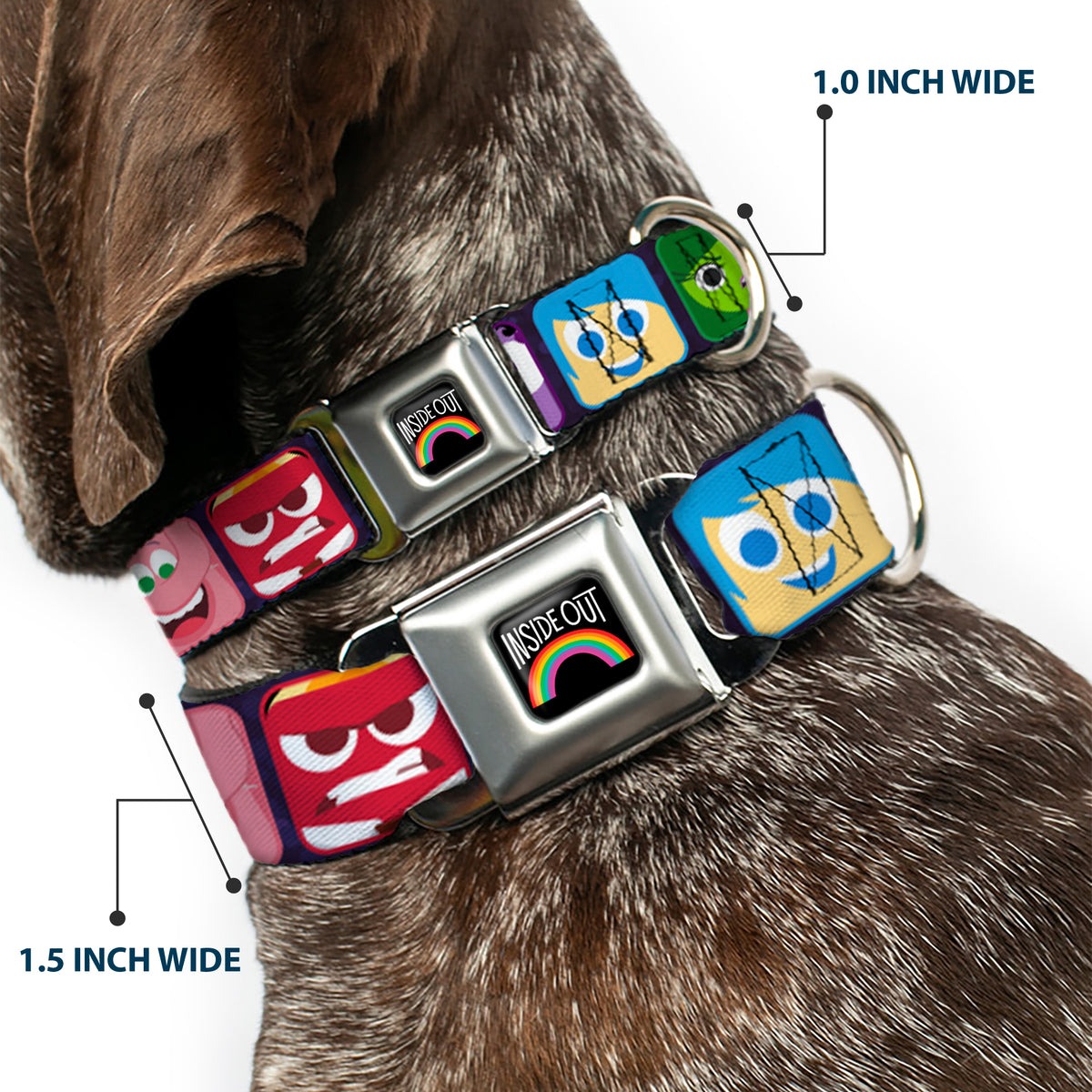 INSIDE OUT Rainbow Full Color Black White Multi Color Seatbelt Buckle Collar - Inside Out 6-Character Esxpression Blocks Purple/Multi Color Dog Collars Seatbelt Buckle Disney