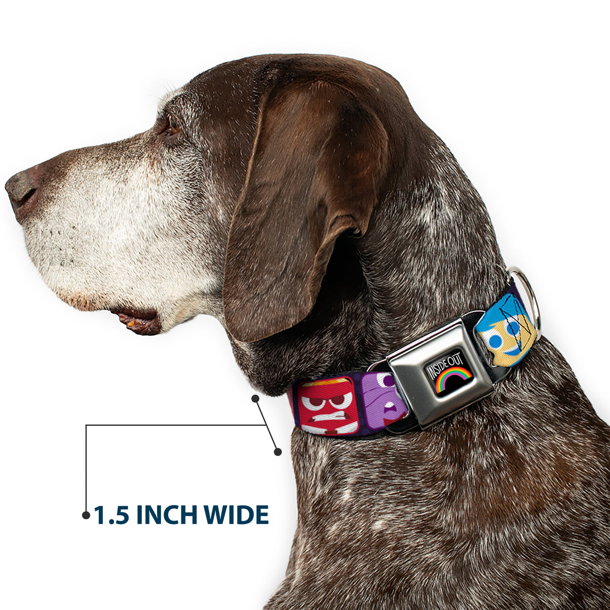 INSIDE OUT Rainbow Full Color Black White Multi Color Seatbelt Buckle Collar - Inside Out 6-Character Esxpression Blocks Purple/Multi Color Dog Collars Seatbelt Buckle Disney