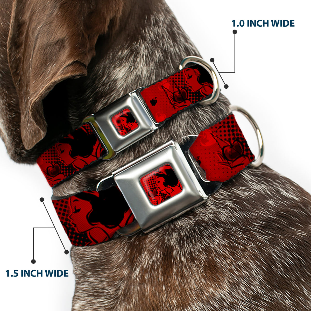 Snow White & Apple Full Color Reds/Black Seatbelt Buckle Collar - SNOW WHITE Poses/Apple Halftone Reds/Black Dog Collars Seatbelt Buckle Disney
