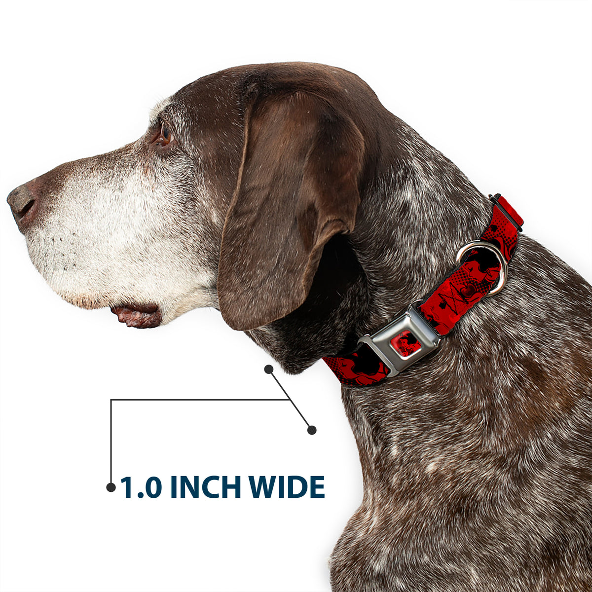Snow White & Apple Full Color Reds/Black Seatbelt Buckle Collar - SNOW WHITE Poses/Apple Halftone Reds/Black Dog Collars Seatbelt Buckle Disney