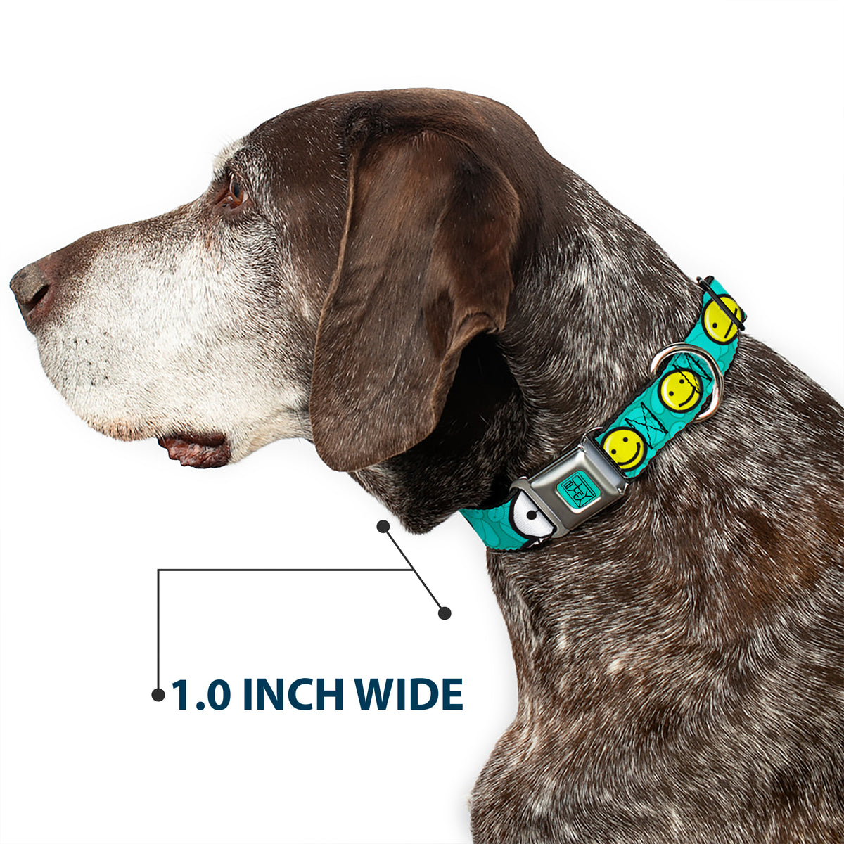 BAYMAX Hanko Full Color Turquoise Black Seatbelt Buckle Collar - Baymax/Mood Expressions/Baymax Scattered Turquoise Dog Collars Seatbelt Buckle Disney