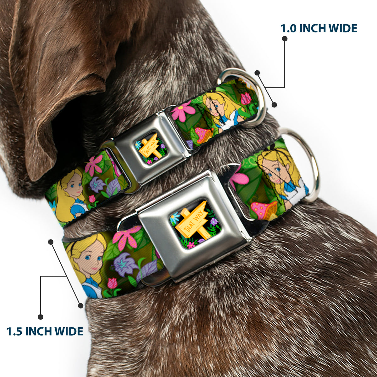 Alice in Wonderland THIS WAY Sign/Flowers Full Color Seatbelt Buckle Collar - Alice & Cheshire Cat Poses/Flowers Dog Collars Seatbelt Buckle Disney