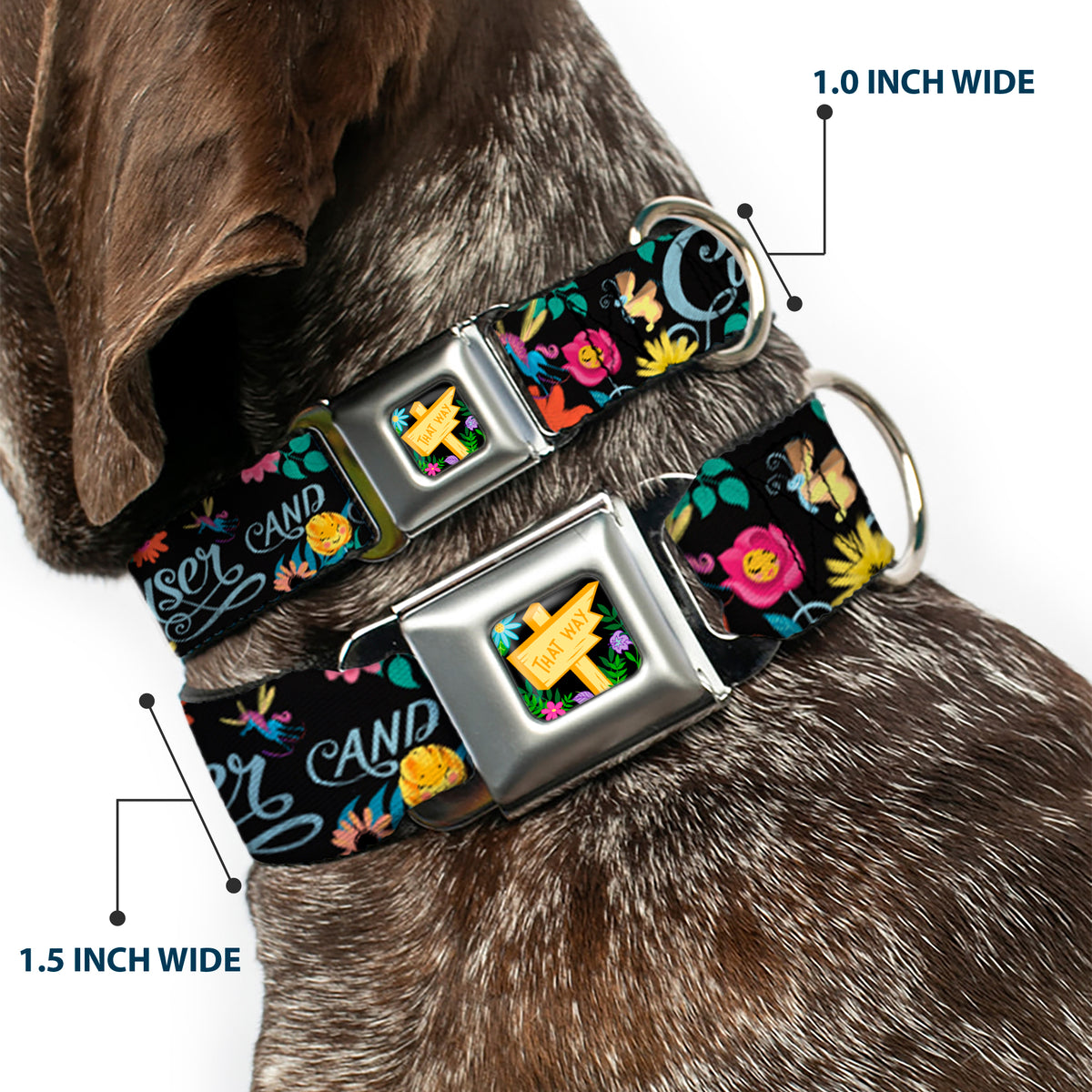 Alice in Wonderland THIS WAY Sign/Flowers Full Color Seatbelt Buckle Collar - CURIOUSER AND CURIOUSER/Flowers of Wonderland Collage Dog Collars Seatbelt Buckle Disney