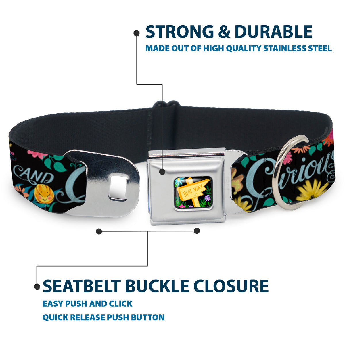 Alice in Wonderland THIS WAY Sign/Flowers Full Color Seatbelt Buckle Collar - CURIOUSER AND CURIOUSER/Flowers of Wonderland Collage Dog Collars Seatbelt Buckle Disney