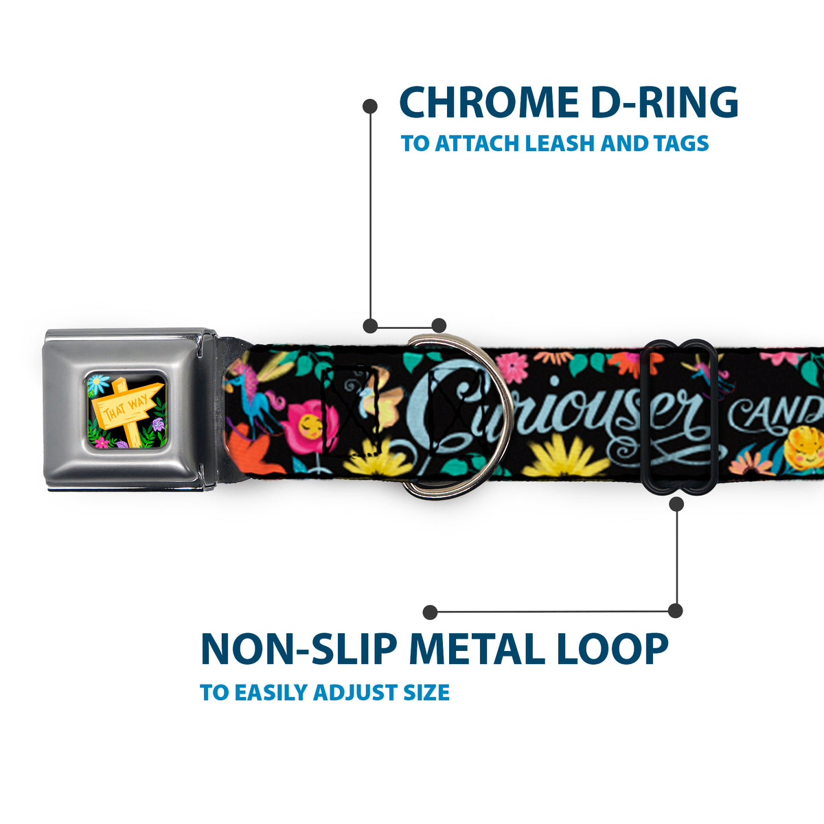 Alice in Wonderland THIS WAY Sign/Flowers Full Color Seatbelt Buckle Collar - CURIOUSER AND CURIOUSER/Flowers of Wonderland Collage Dog Collars Seatbelt Buckle Disney