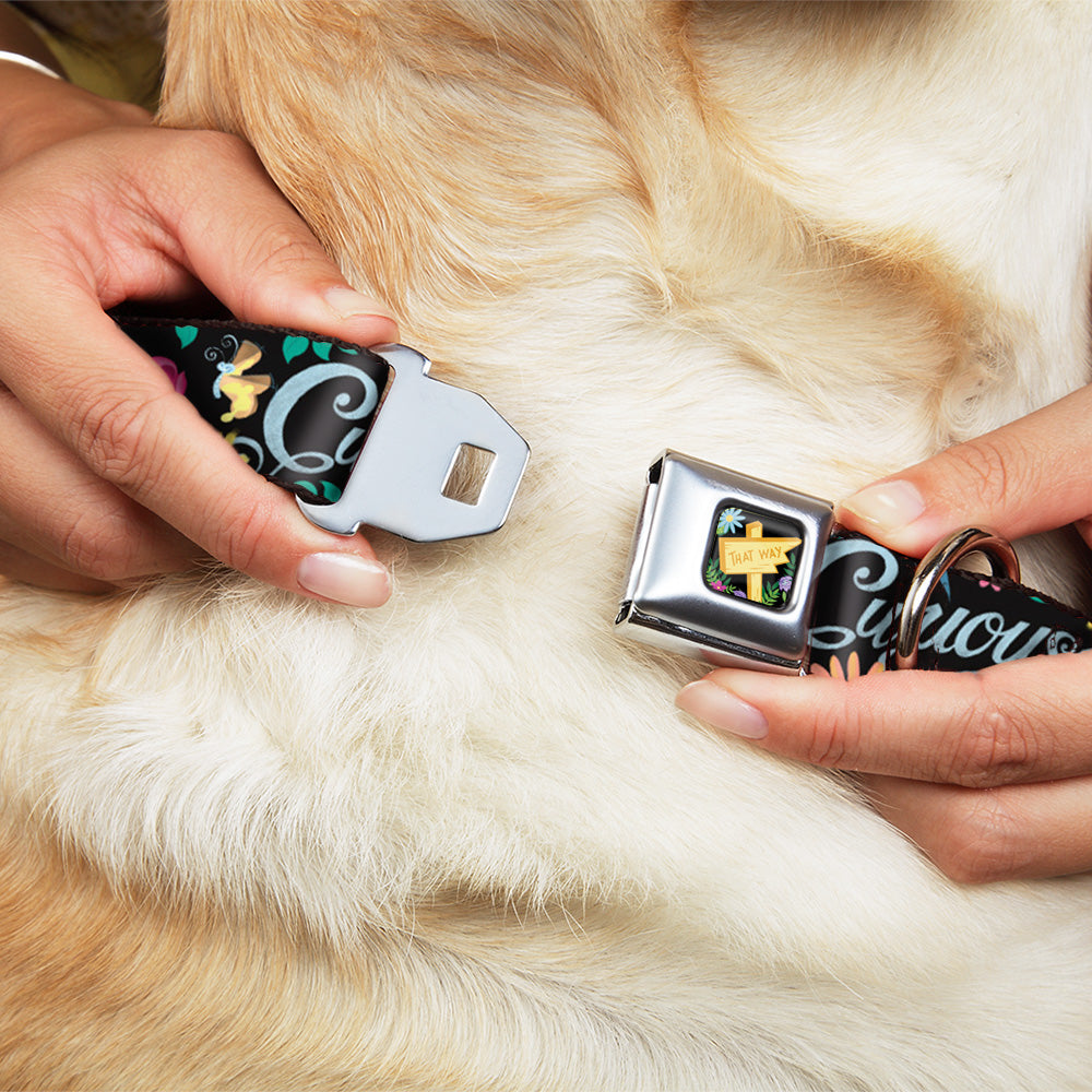 Alice in Wonderland THIS WAY Sign/Flowers Full Color Seatbelt Buckle Collar - CURIOUSER AND CURIOUSER/Flowers of Wonderland Collage Dog Collars Seatbelt Buckle Disney