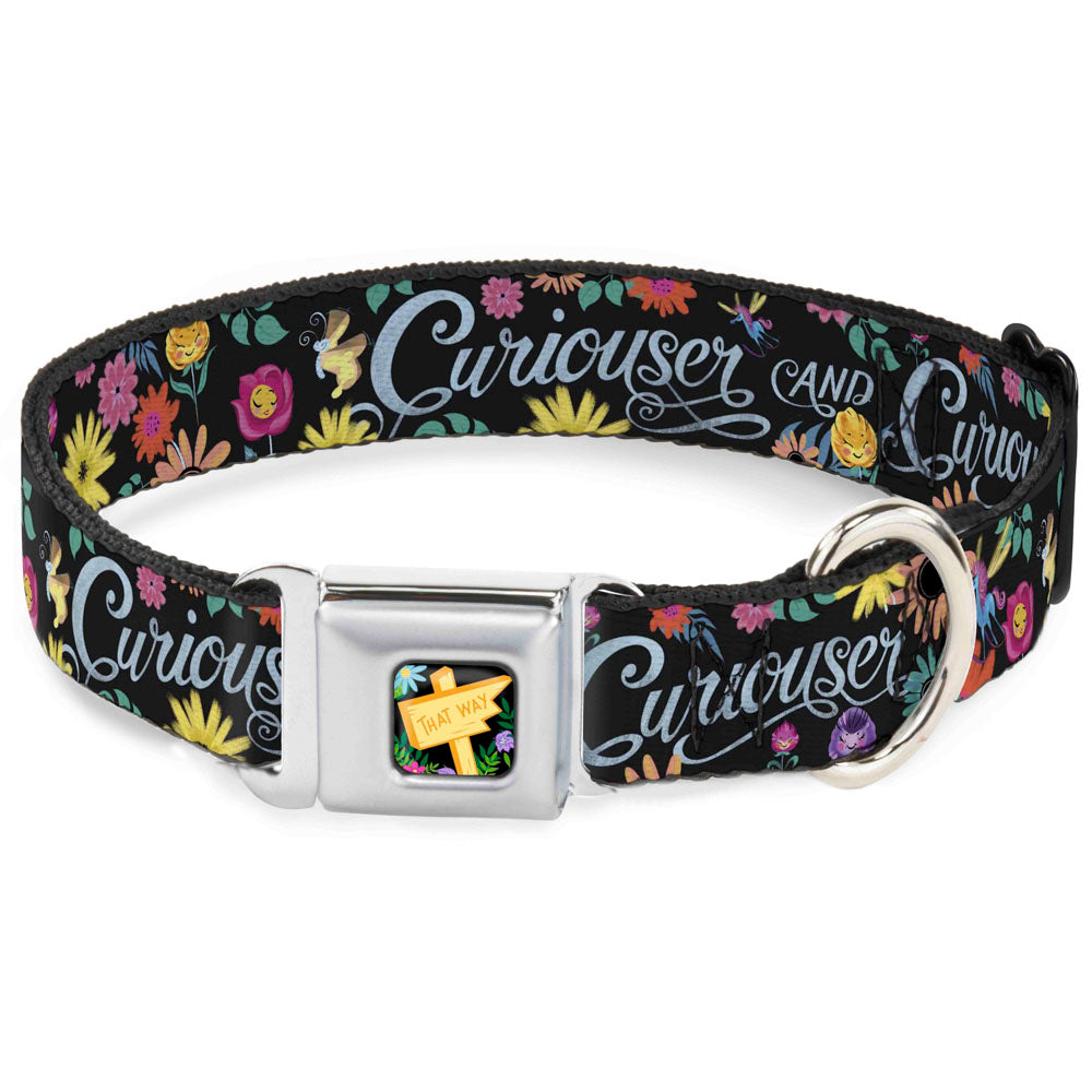 Alice in Wonderland THIS WAY Sign/Flowers Full Color Seatbelt Buckle Collar - CURIOUSER AND CURIOUSER/Flowers of Wonderland Collage Dog Collars Seatbelt Buckle Disney