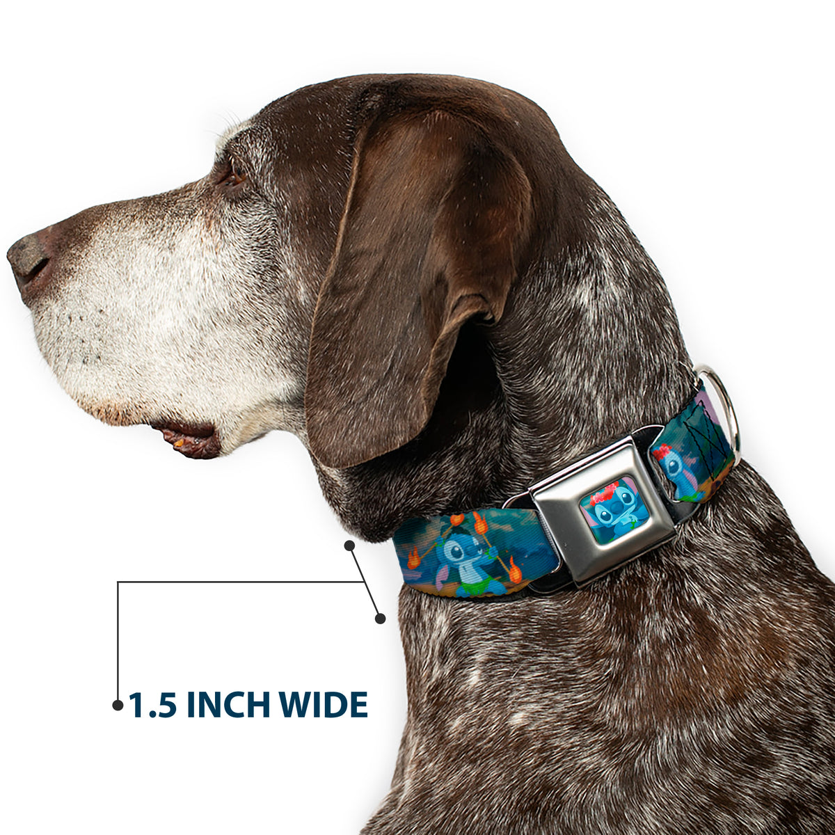 Stitch Hula Pose Full Color Seatbelt Buckle Collar - Stitch Hula Dance 5-Poses Dog Collars Seatbelt Buckle Disney